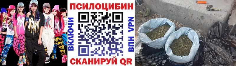 Галлюциногенные грибы Magic Shrooms  Купить закладки  Каменка 